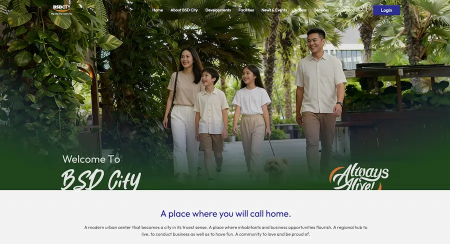 BSD City Website Preview