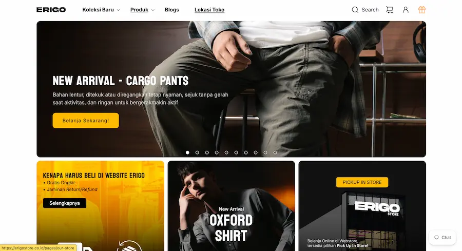 Erigo Website Preview